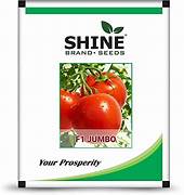 Tomato Jumbo F1 Hybrid