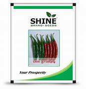 Shine Umanga F1 Hybrid Chilli Seeds