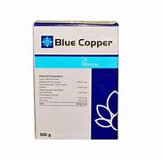 Crystal Blue Copper